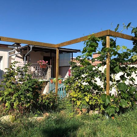 Ubytovani U Jerabku - Parkovani Zdarma Mikulov Exteriör bild